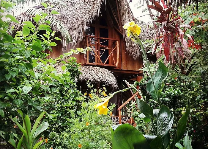 La Urraca Loca Hostel
