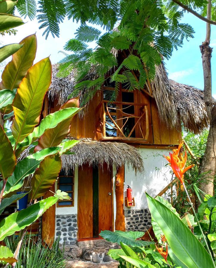 Hostel La Urraca Loca