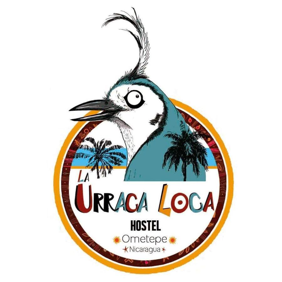 Hostel La Urraca Loca *