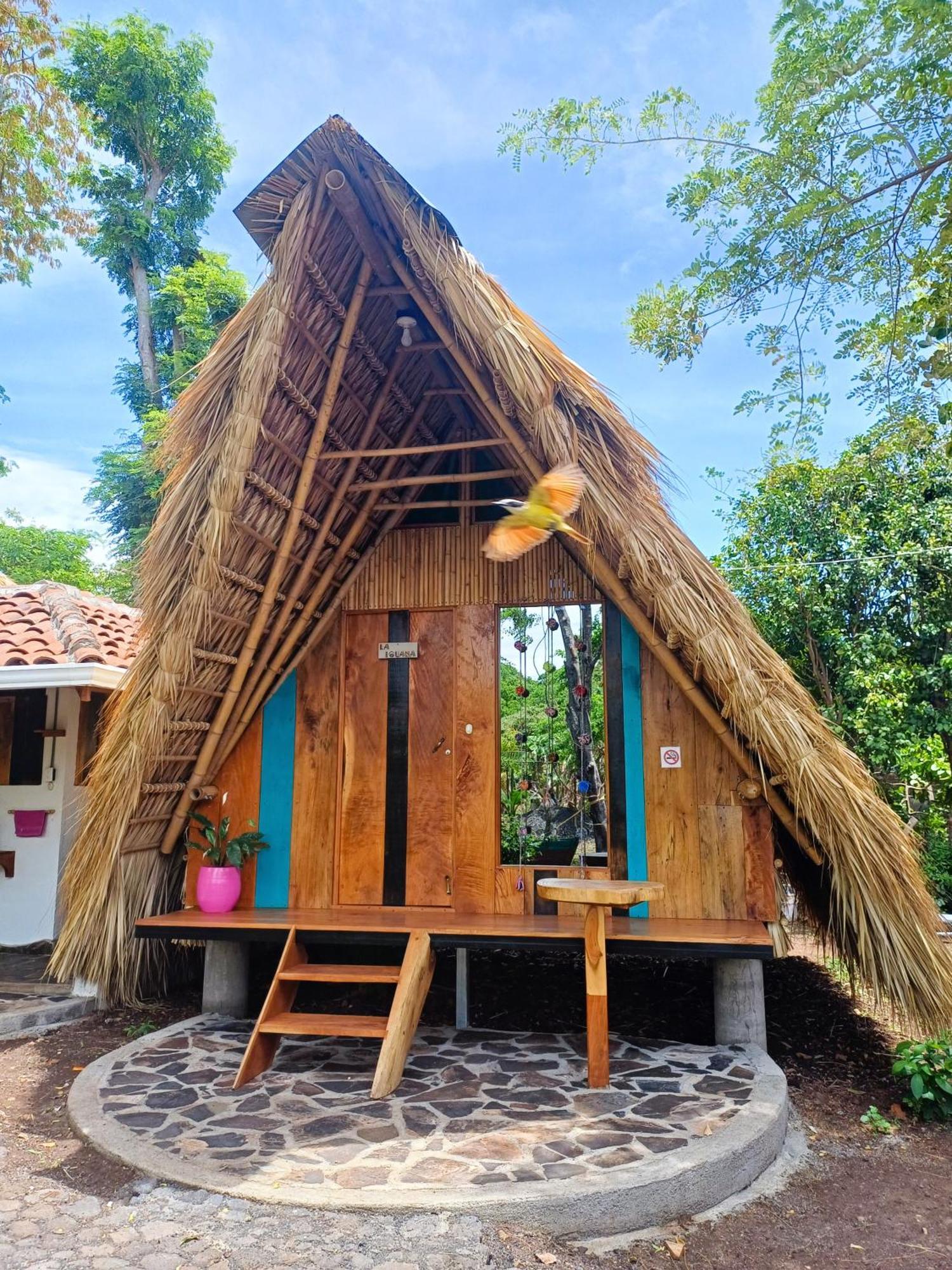 La Urraca Loca Hostel *